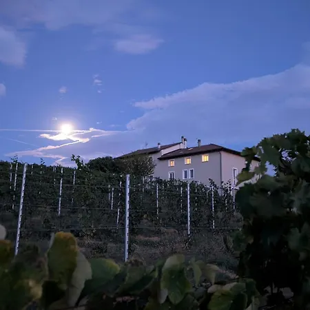 Casa Dei Leoni